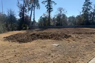 3210 Elm Bough Ct, Conroe, TX 77301 - Photo 6