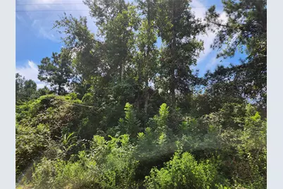 Lot 26 Mayhaw Lane, Plantersville, TX 77363 - Photo 1