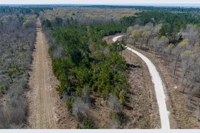 1 Bo Brown Road, Trinity, TX 75862 - Photo 6