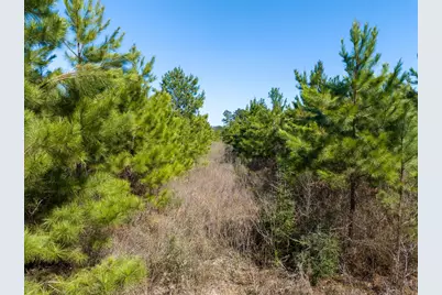 1 Bo Brown Road, Trinity, TX 75862 - Photo 18