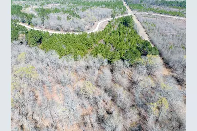 1 Bo Brown Road, Trinity, TX 75862 - Photo 4