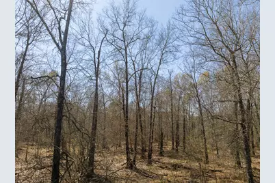 1 Bo Brown Road, Trinity, TX 75862 - Photo 16