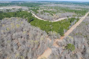 1 Bo Brown Rd, Trinity, TX 75862 - Photo 1