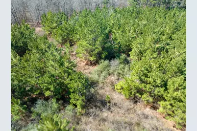 1 Bo Brown Road, Trinity, TX 75862 - Photo 12