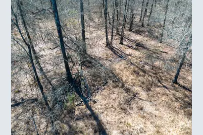 1 Bo Brown Road, Trinity, TX 75862 - Photo 14