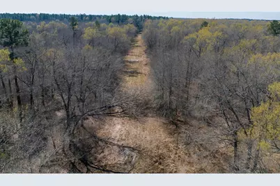 1 Bo Brown Road, Trinity, TX 75862 - Photo 8