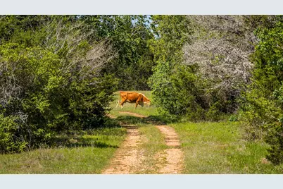 2062 N Fm 1291, Fayetteville, TX 78940 - Photo 26