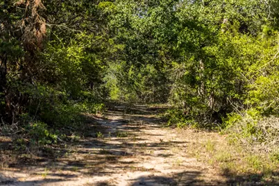 2062 N Fm 1291, Fayetteville, TX 78940 - Photo 44
