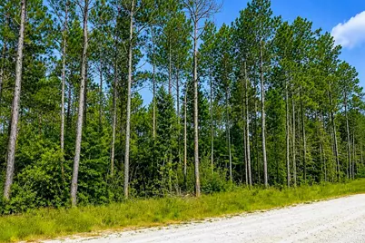 Tbd Carter Ranch Road, Kountze, TX 77625 - Photo 4