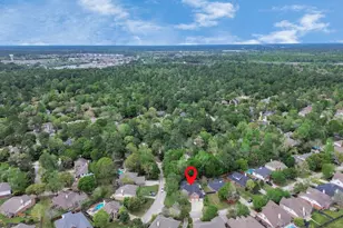 7 New Dawn Pl, Conroe, TX 77385 - Photo 22