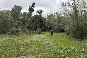 2744 County Rd 415C, Brazoria, TX 77422 - Photo 8