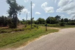 4337 County Rd 659A, Brazoria, TX 77422 - Photo 1