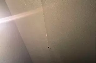 8303 Quest Ct, Rosharon, TX 77583 - Photo 24