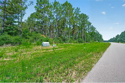 15631 Forest Grove Drive, Willis, TX 77378 - Photo 6