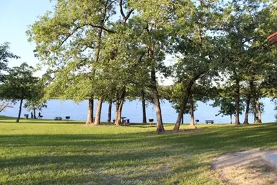 Tbd Pin Oak, Hilltop Lakes, TX 77871 - Photo 14
