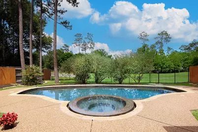 138 Oriel Oaks, The Woodlands, TX 77382 - Photo 2