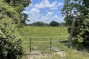 0 Cr-392, Alvin, TX 77511 - Photo 4