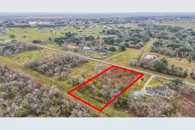 1002 Cross Timbers Drive, Rosharon, TX 77583 - Photo 8
