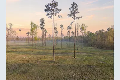 Lot 13 N Fm 350, Livingston, TX 77351 - Photo 6