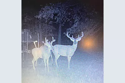 64 Gourd Creek Cemetary Road, Huntsville, TX 77340 - Photo 34