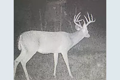 64 Gourd Creek Cemetary Road, Huntsville, TX 77340 - Photo 30