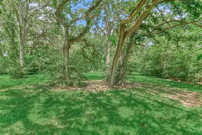 32214 Mink Creek Court, Magnolia, TX 77355 - Photo 4