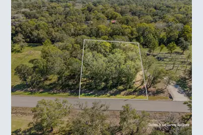 0 Patricia, Cr 377 Lane, Alvin, TX 77511 - Photo 4