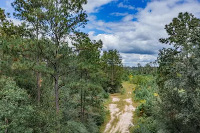 00 County Road 331,Gulf Road, Cleveland, TX 77327 - Photo 4