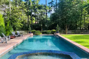 51 N Wooded Brook Cir, The Woodlands, TX 77382 - Photo 2