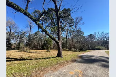 Tbd Linda Chain, Livingston, TX 77351 - Photo 2