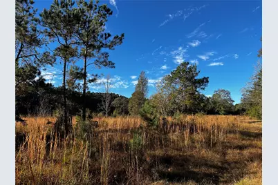 231 County Road 2190, Cleveland, TX 77327 - Photo 2