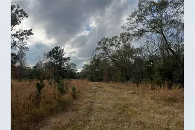 231 County Road 2190, Cleveland, TX 77327 - Photo 20