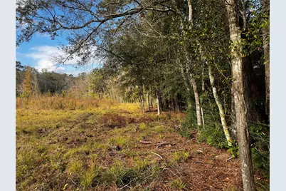 231 County Road 2190, Cleveland, TX 77327 - Photo 24