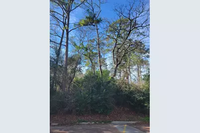 Lot 13-12149 Goliad, Willis, TX 77378 - Photo 2