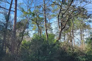 Lot 13-12149 Goliad, Willis, TX 77378 - Photo 2