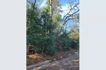 Lot 13-12149 Goliad, Willis, TX 77378 - Photo 4