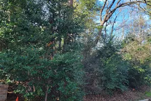 Lot 13-12149 Goliad, Willis, TX 77378 - Photo 4