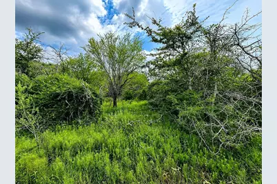 Tbd Water Oak Road, Columbus, TX 78934 - Photo 10
