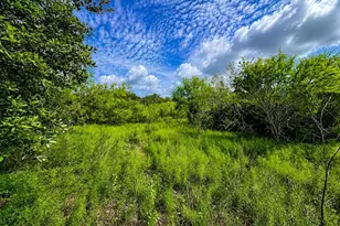 Tbd Water Oak Rd, Columbus, TX 78934 - Photo 1