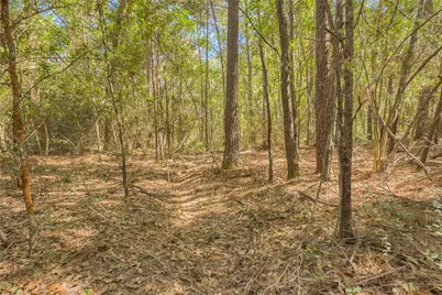 Tbd Frank Cloud Road, Huntsville, TX 77320 - Photo 12