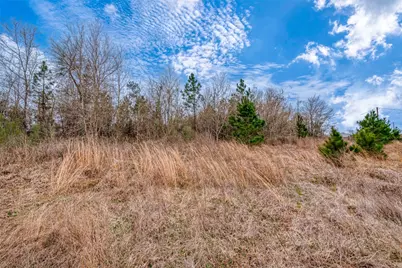 0 Road 3556, Cleveland, TX 77327 - Photo 22