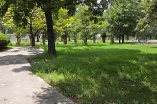 24881 Country Estates Dr, New Caney, TX 77357 - Photo 6