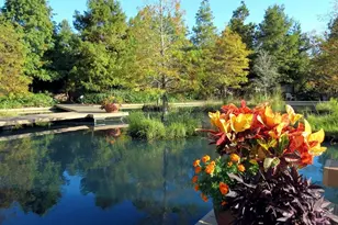 1670 Little Cypress Loop, Orange, TX 77632 - Photo 6