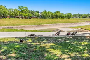 3601 Murworth Dr, Houston, TX 77025 - Photo 10