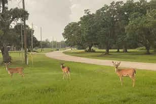 1325 Palomino Trail, Angleton, TX 77515 - Photo 34