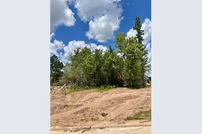 41810 Hubbard Street, Montgomery, TX 77316 - Photo 4