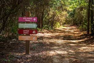 21807 Victory Grn Wy, Porter, TX 77365 - Photo 46