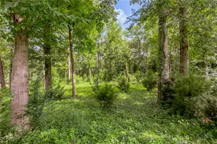 211 Baker Dr, Livingston, TX 77351 - Photo 46