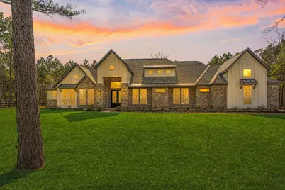 7729 Dog Wood Acres Drive, Montgomery, TX 77316 - Photo 2