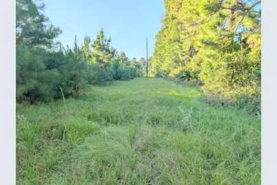 Tbd County Road 3385, Lovelady, TX 75851 - Photo 8